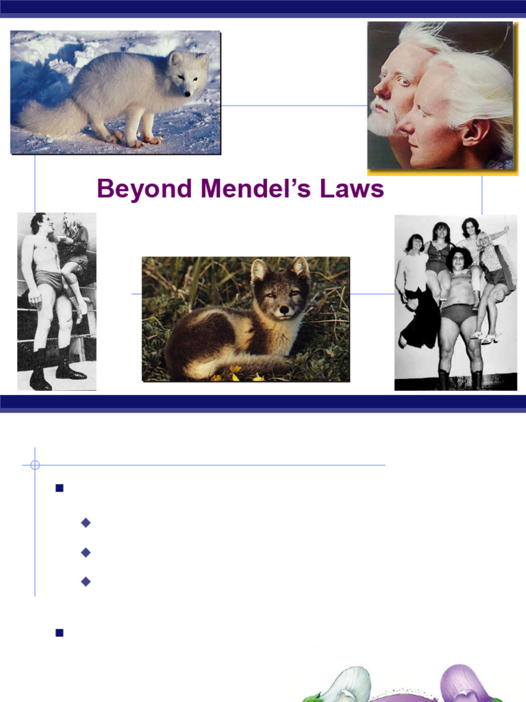 Beyond Mendels Laws Pdf