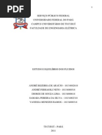 Estudos Dos Fluidos em Equilíbrio