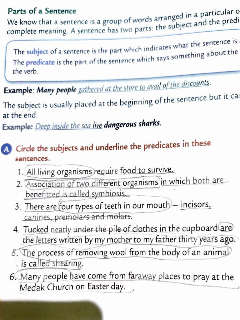 CH 20 Kinds of Sentences Meaning | PDF