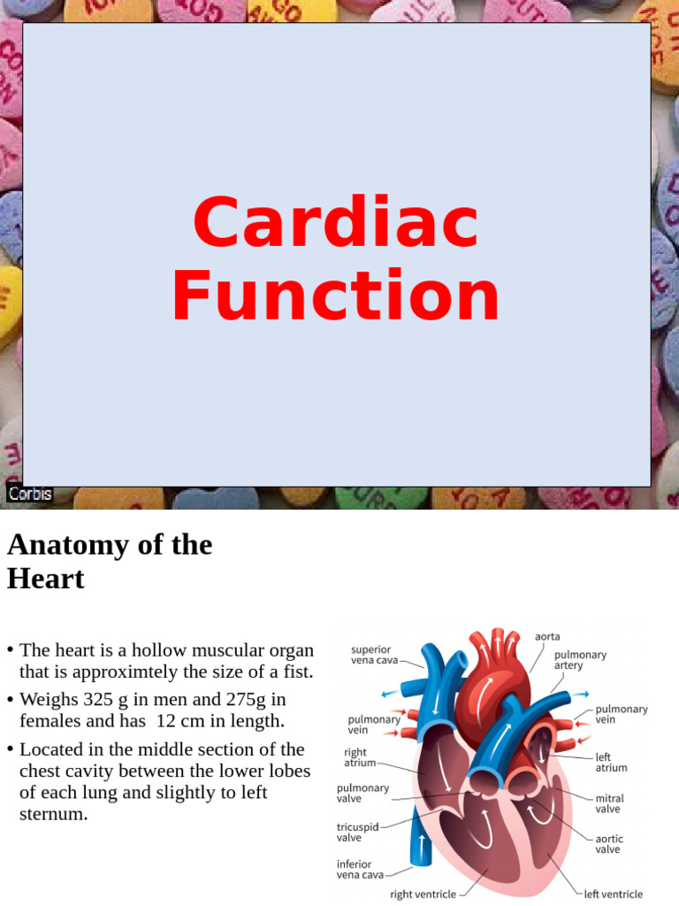 Cardiac Function 2023 Edit 2 | PDF