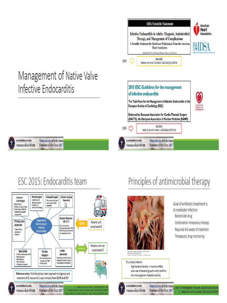 Infective - Endocarditis 2 | PDF