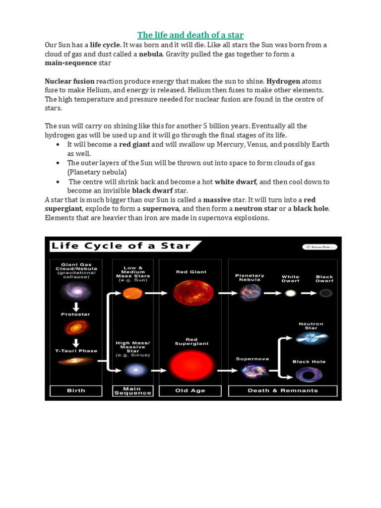 Life Cycle of A Star | PDF | Social Science | Young Adult