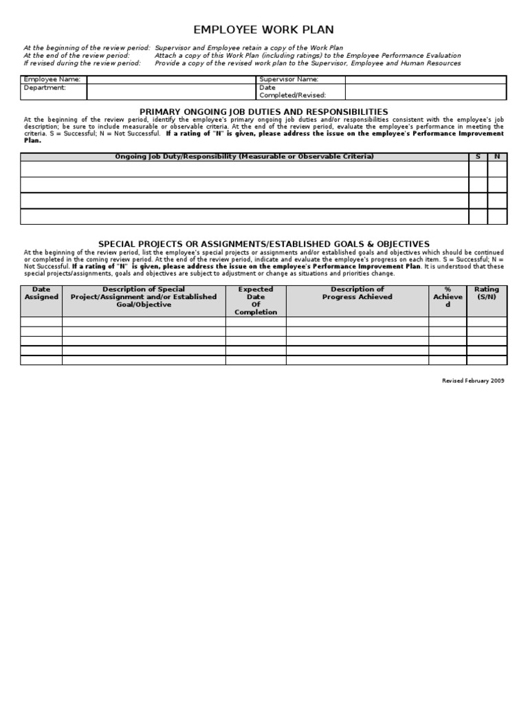 Employee Work Plan Overview | PDF