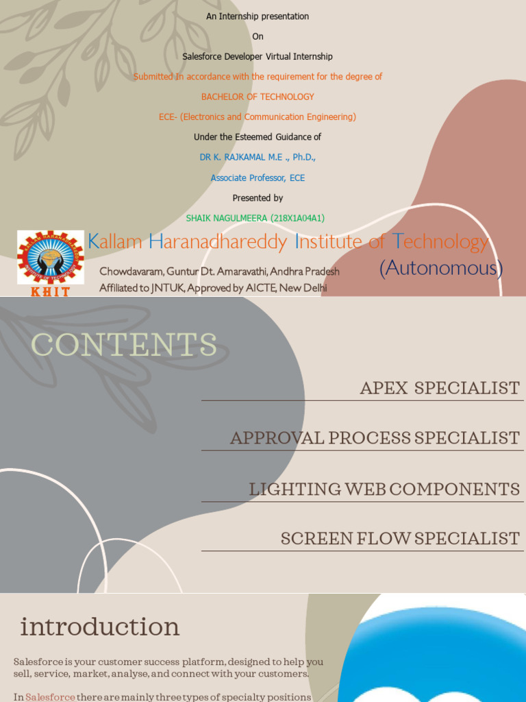 Salesforce PPT (4A1) | PDF