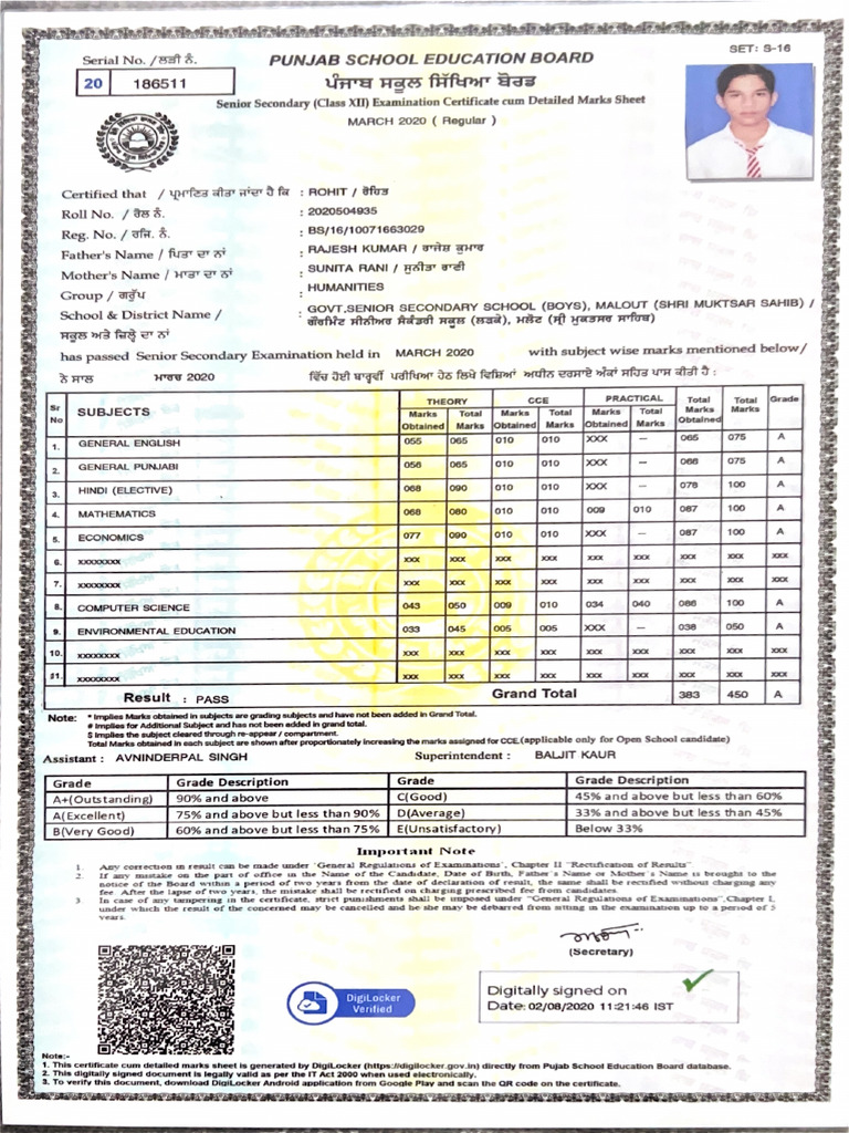 Punjab visual data 7