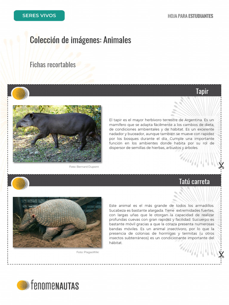 Colección de Imágenes - Animales | PDF