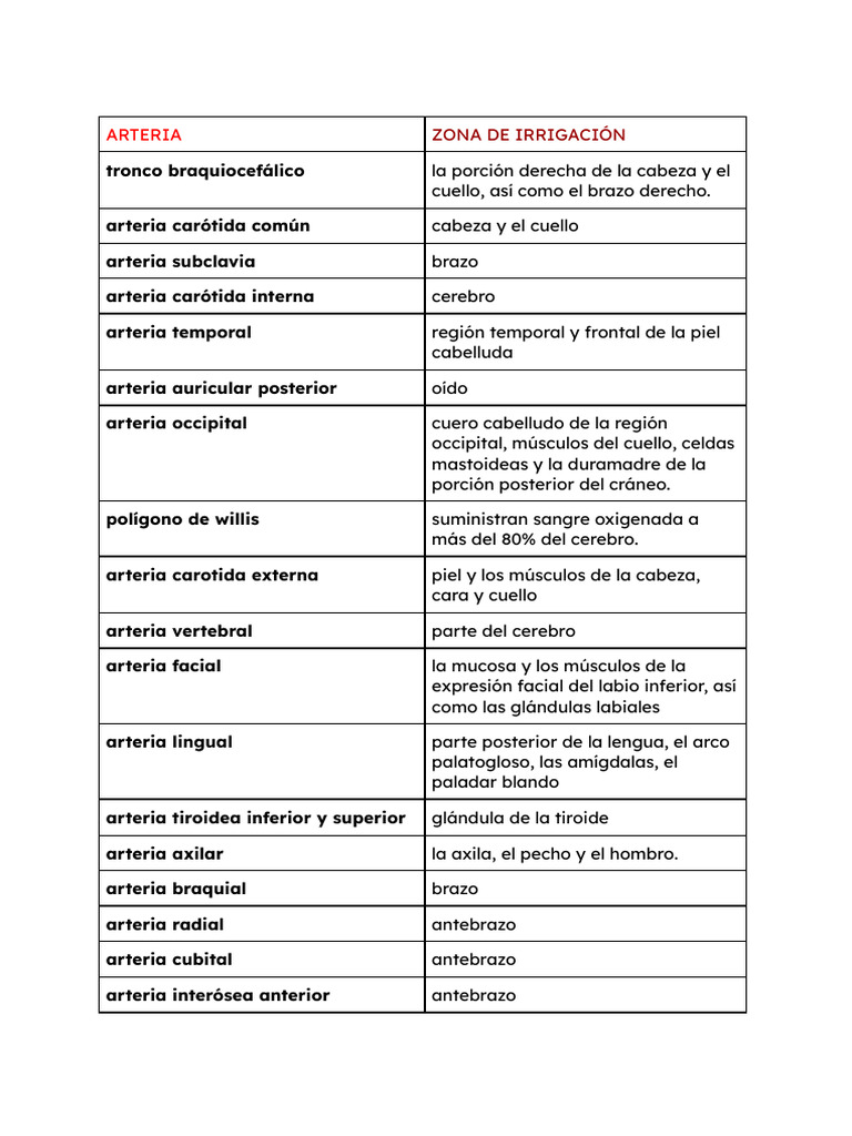 Arteria y Que Irrigan | PDF