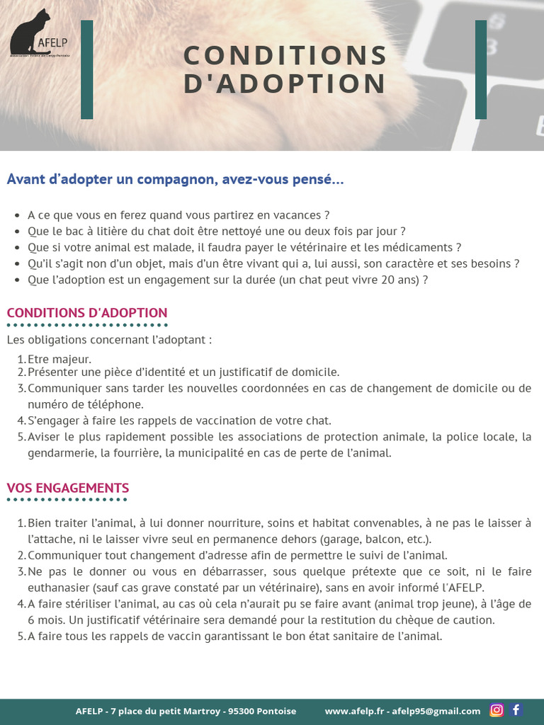 conditions-adoption-2022-pdf