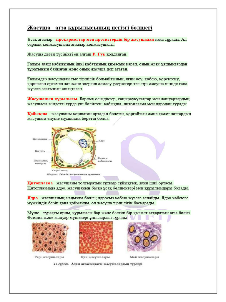 Семеновичтің жыныстық қатынасқа түскені туралы бейне
