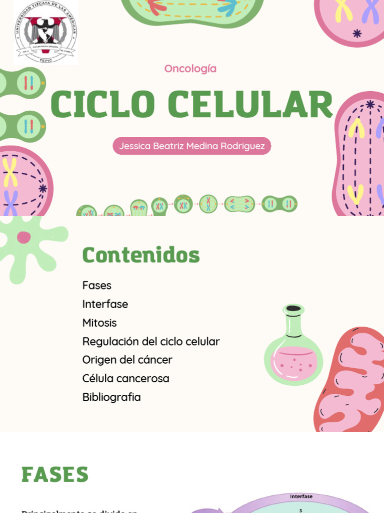 Ciclo Celular | PDF | Ciclo de célula | Célula (Biologia)