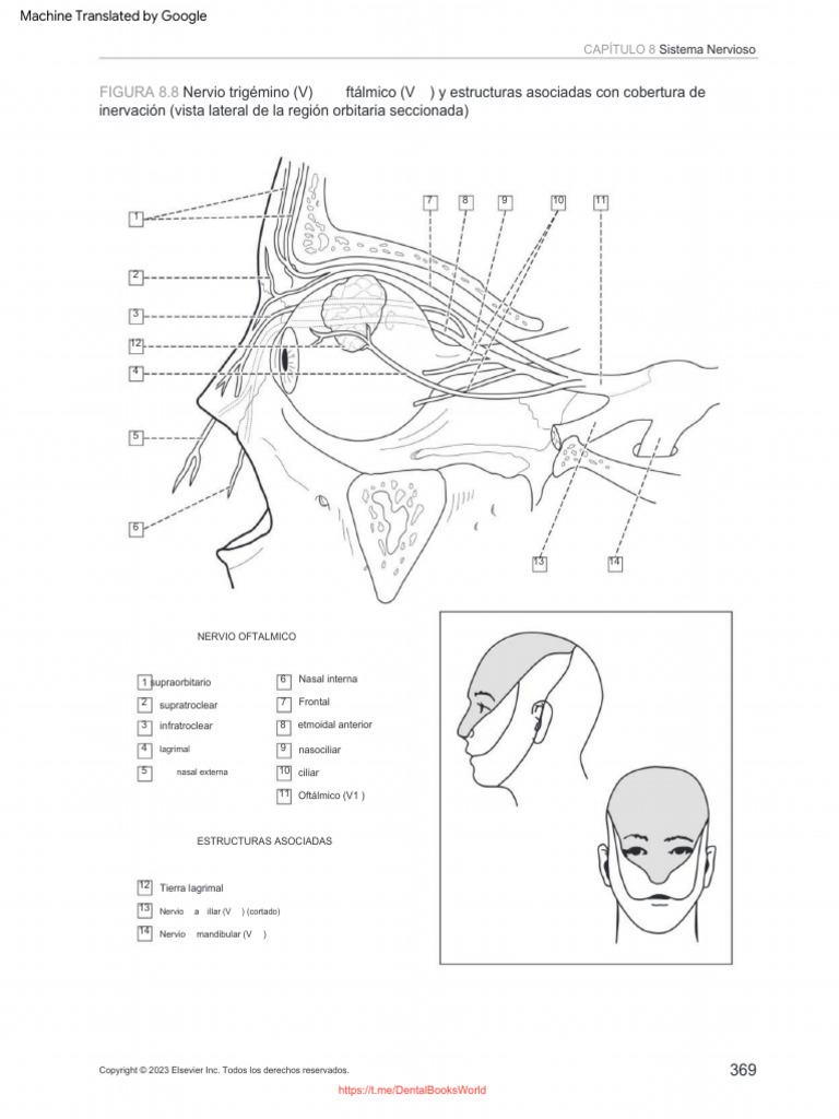 Dental Anatomy Coloring Book