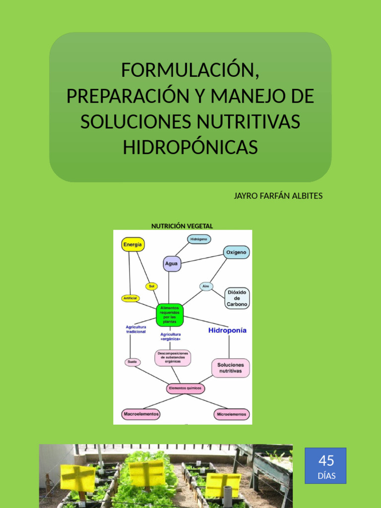 Formulación Hidropónica - Jayro F A | PDF