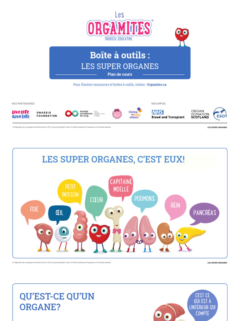 Les Organes | PDF