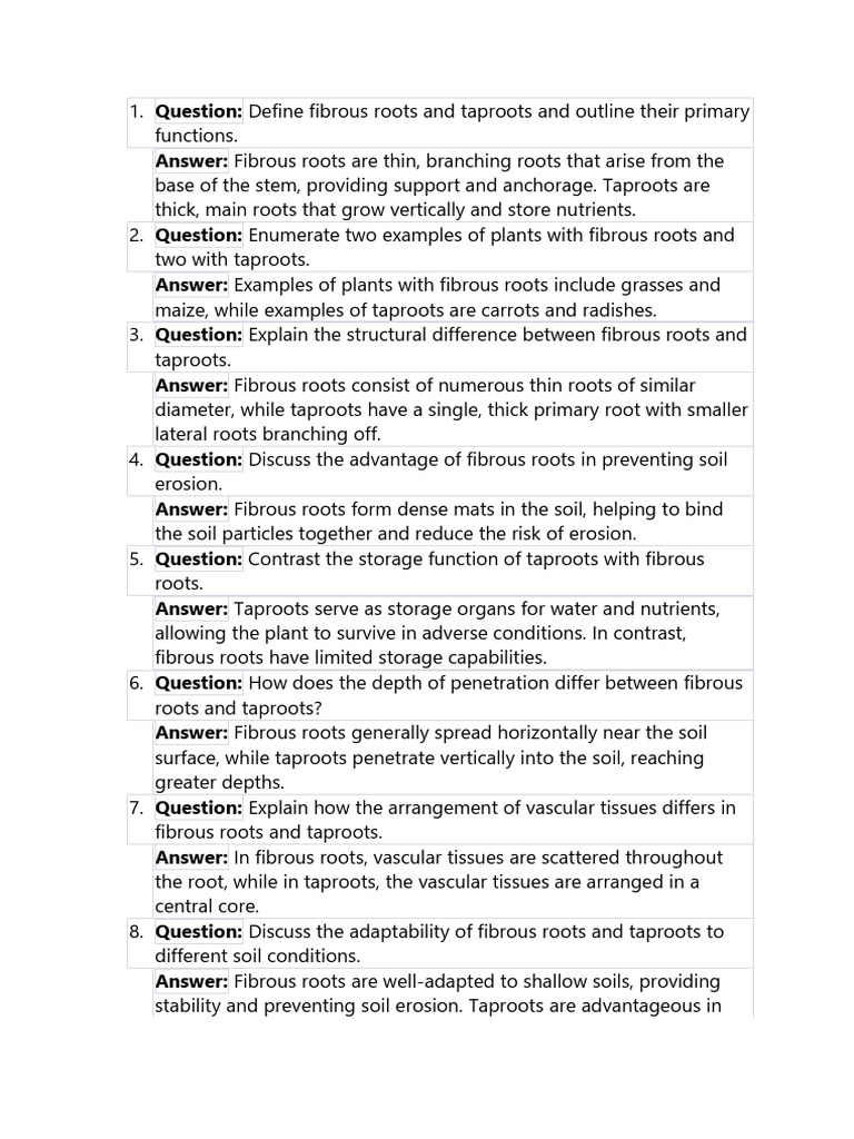 Fibrous Roots and Taproots Answers | PDF