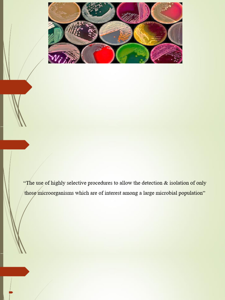 Microbial Screening for Antibiotics & Peptides | PDF | Bacteria ...