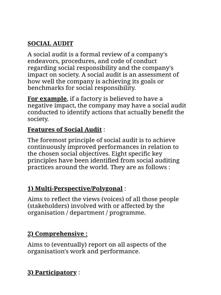 Social Audit | PDF