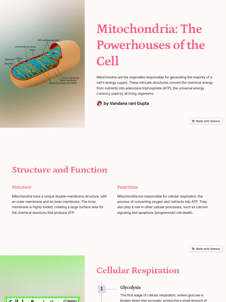 Mitochondria: Energy Production Insights | PDF | Adenosine Triphosphate ...