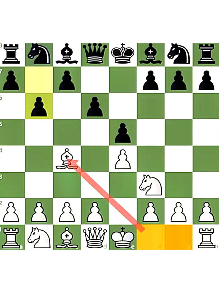 Chess Principles-3 CASTLE BEFORE MOVE 10 | PDF