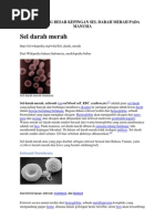 Download Bahan Skripsi Menghitung Besar Kepingan Sel Darah Merah Pada Manusia by Elfa Febrina SN76696215 doc pdf