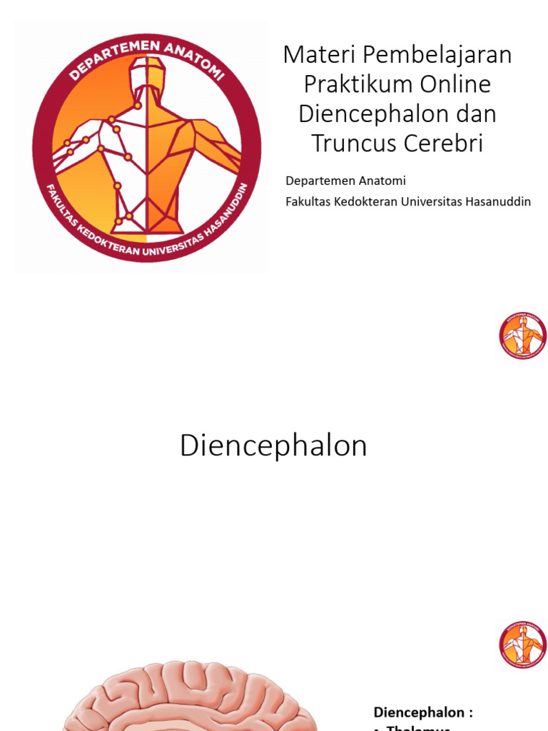 Praktikum 2-Truncus Cerebri Dan Diencephalon | PDF