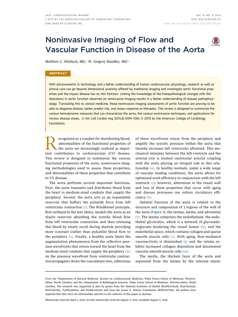 Noninvasive Imaging of Flow and Vascular Function in Disease of The ...