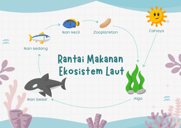 Rantai Makanan Ekosistem Laut Peraga Konsep Visual Biru Dan Ungu