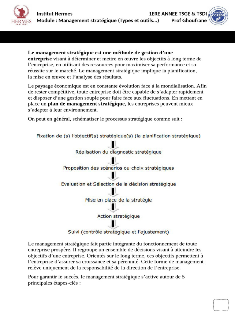 Management Stratégique (Types Et Outils..) | PDF