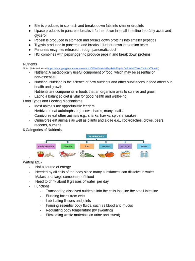 Systems Biology Main Notes | PDF | Heart Valve | Wellness