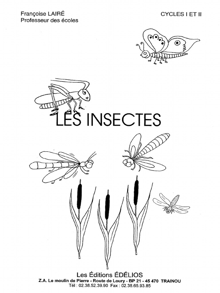 EDELIOS - Dossier Sur Les Insectes c1 Et c2 | PDF