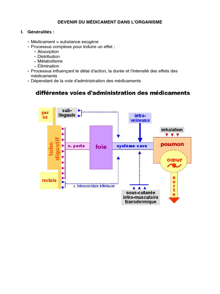 Devenir Du Médicament Dans L'organisme | PDF