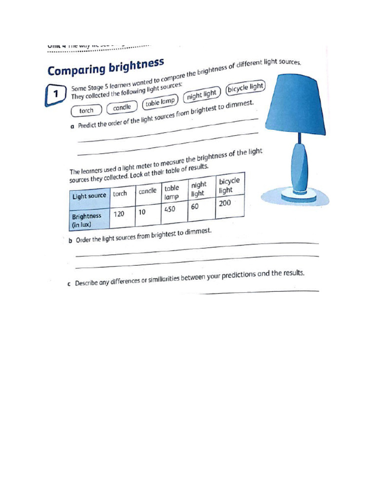 Versatile Lighting Options Explained | PDF