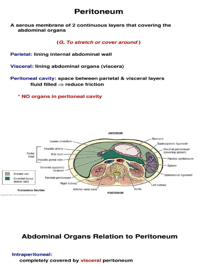 Peri | PDF