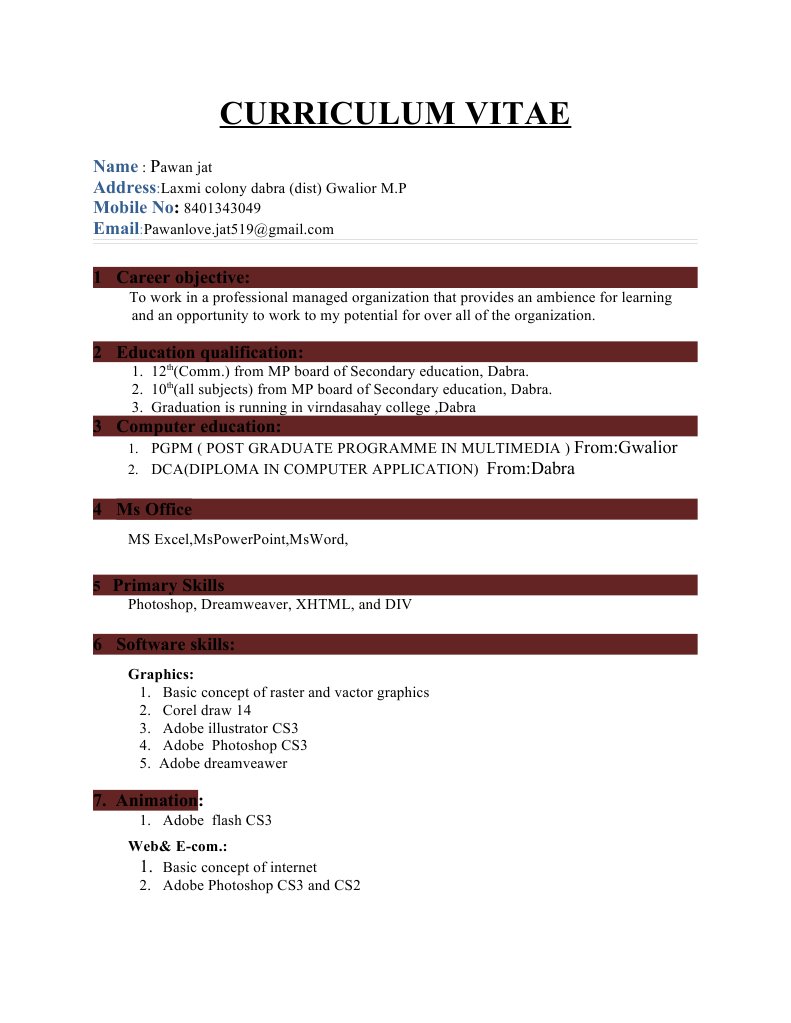 Aspiring Multimedia Professional CV | PDF