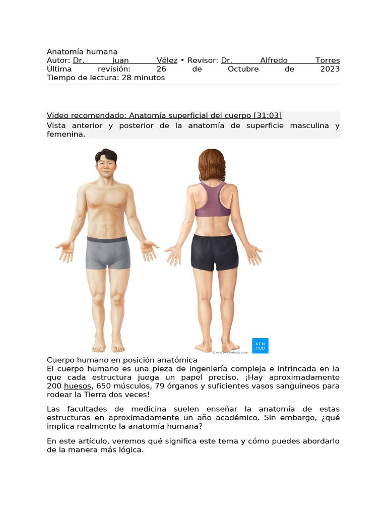 ANATOMIA PDF visual data 5