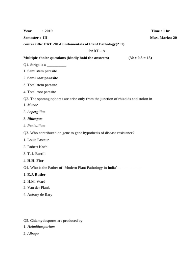 Midterm PAT 201 | PDF