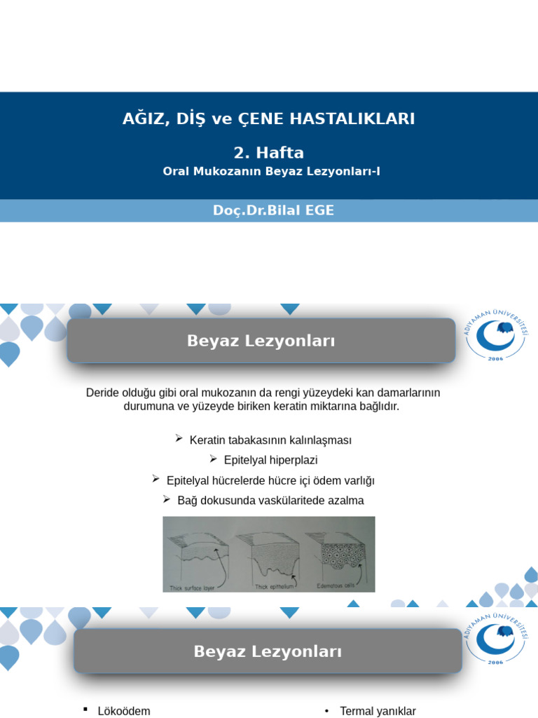 Hafta 2 Yeni Hali 2 | PDF
