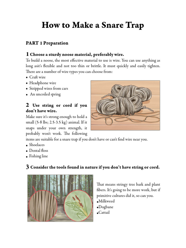 Snare Trap | PDF