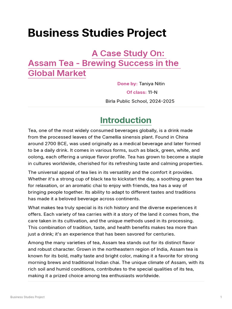 6db18a0d 84ca 4d94 Acfa Aee8ff1abc46 Business Studies Project | PDF