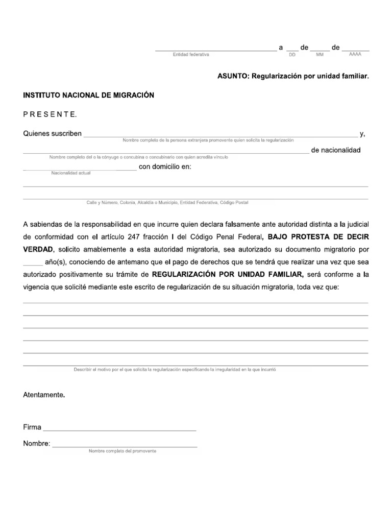 Escrito Por El Solicitante | PDF