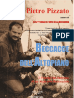 Beccacce Dell'altopiano - Anteprima