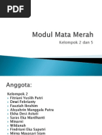 Download Modul Mata Merah by Dewi Febrianty Kalenggo SN76713814 doc pdf