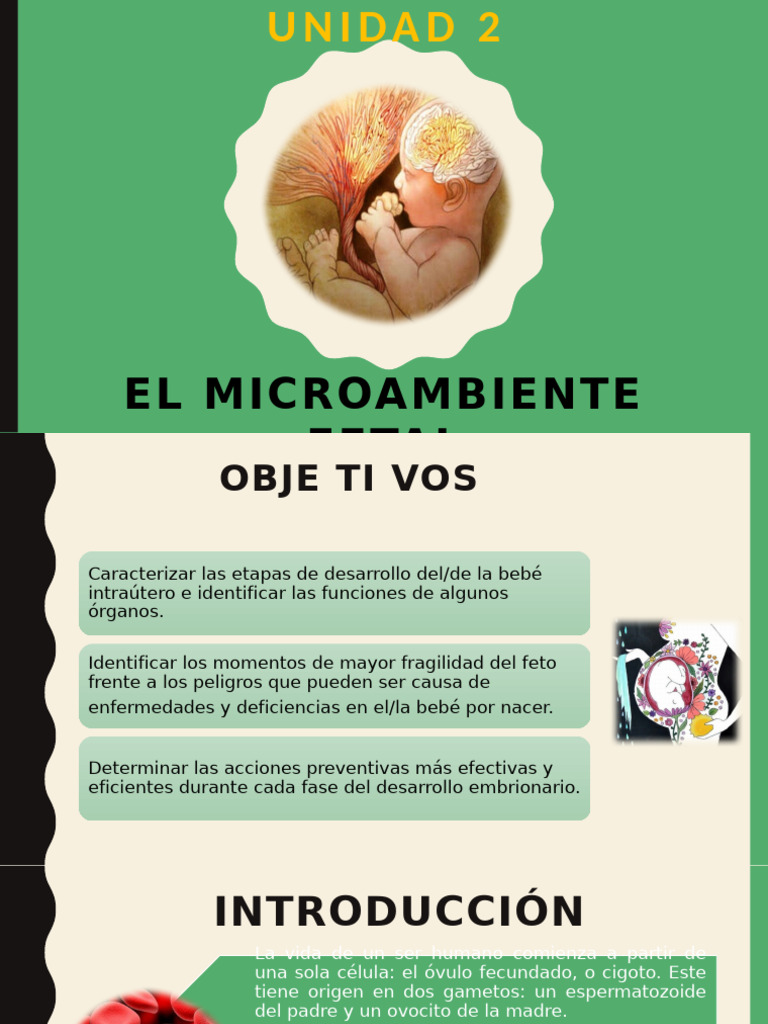 El Microambiente Fetal | PDF
