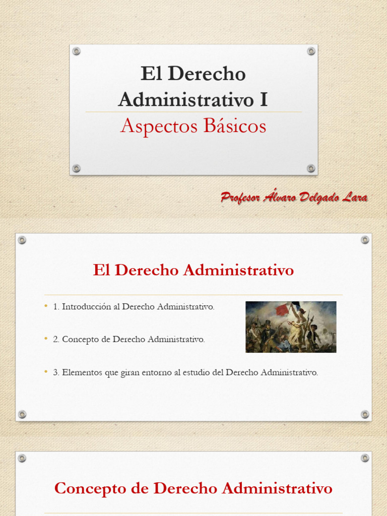 D° Adm 1 D°Adm Aspectos Básicos | PDF
