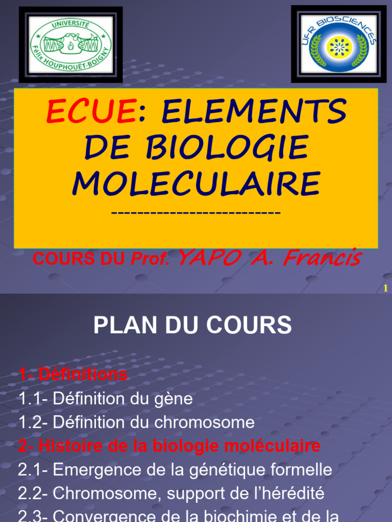 Cours L1 Elts de Bio Mol Prof (Cours 19-20) 2 | PDF