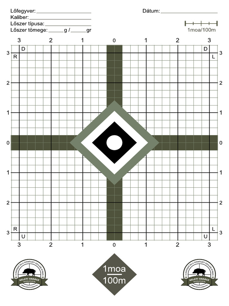Target 100 | PDF