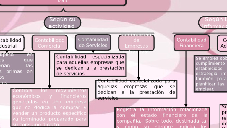 Tipos De Contabilidad Pdf