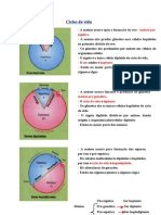 Ciclos de vida: meiose pós-zigótica, pré-gamética e pré-espórica