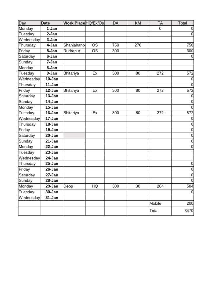 January Expense List | PDF