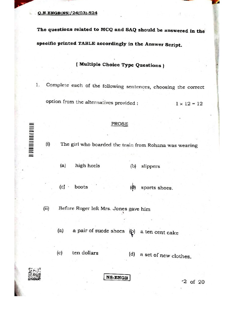 HS English Question Paper 2024 | PDF | Technology & Engineering