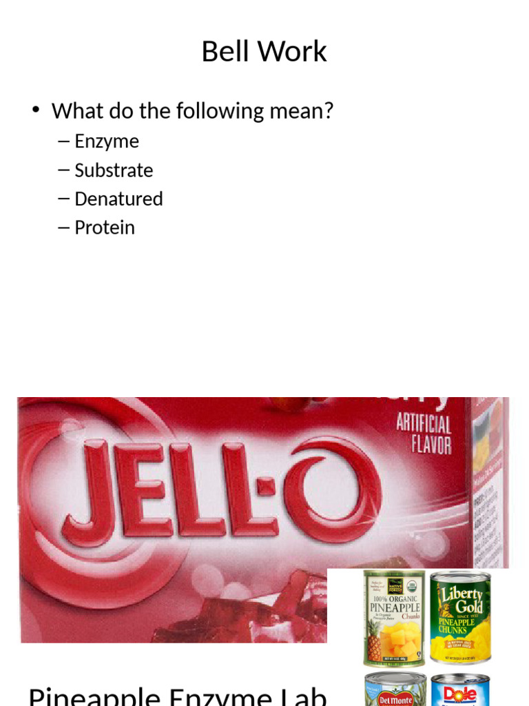 Pineapple Enzyme Lab Pdf